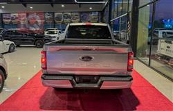 فۆرد F-150